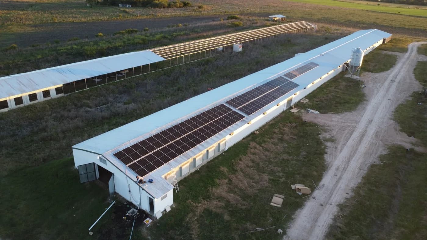 Instalación fotovoltaica de Rigelec sobre el techo de un establecimiento rural